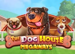 bristy-roy.co: The Dog House Megaways